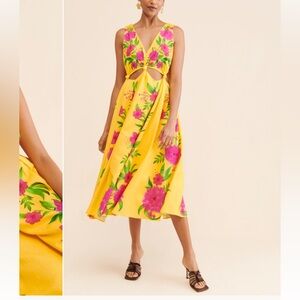 Farm Rio Romantic Garden Dress